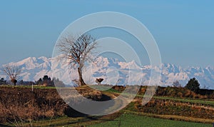 Agricultural road in a winter country scenery with bare trees and snowed mountains on background