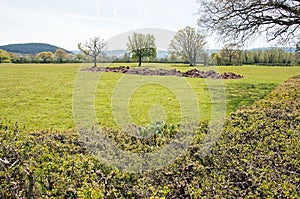 Agricultural manure in the Welsh countryside.