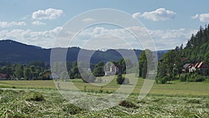 Agricultural scene showing a stork flying over just mowed grass.