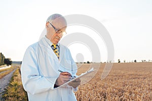 Agricultural scientist doing research in green biotech photo