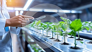 Agricultural Scientists Using Tablets in a Hydroponic Greenhouse photo