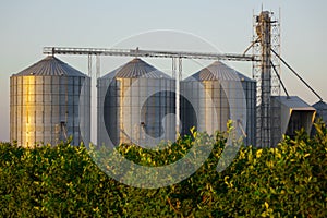 Agricultural Silo - Building Exterior, Storage and drying of grains