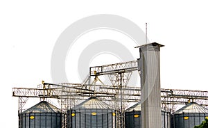 Agricultural silo at feed mill factory. Flat silo for store and drying grain, wheat, corn at farm. Storage of agricultural product
