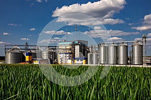 Agricultural Silos on the background of the field. Storage and drying of grains, wheat, corn, soy, sunflower against the blue sky