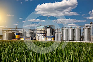 Agricultural Silos on the background of the field. Storage and drying of grains, wheat, corn, soy, sunflower against the blue sky