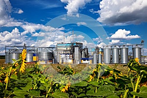 Agricultural Silos on the background of sunflowers. Storage and drying of grains, wheat, corn, soy, sunflower against the blue sky