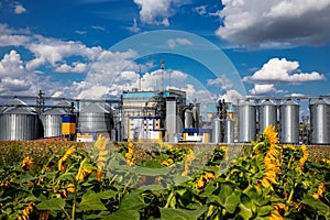 Agricultural Silos on the background of sunflowers. Storage and drying of grains, wheat, corn, soy, sunflower against the blue sky