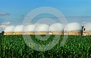 Agricultural Silos - Building Exterior, Storage and drying of grains, wheat, corn against the blue sky with rice fields.