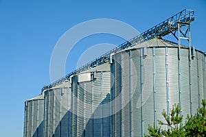 Agricultural Silos. Storage tanks agricultural crops processing plant. Agribusiness concept