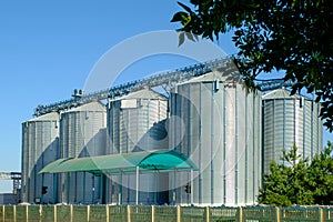 Agricultural Silos. Storage tanks agricultural crops processing plant. Agribusiness concept