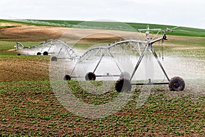 Agricultural sprinkler irrigating an Idaho potato field.