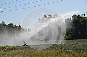 Agricultural sprinkler working hard in Oregon\'s mid-Willamette Valley