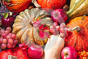 Agricultural still life from the harvest of fruits and vegetables