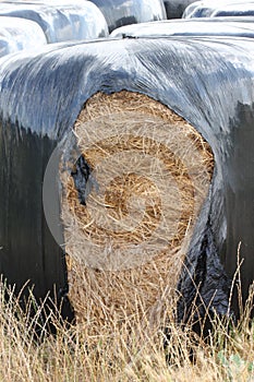 Agricultural straw bales packaged