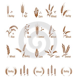 Agricultural symbols isolated on white background.