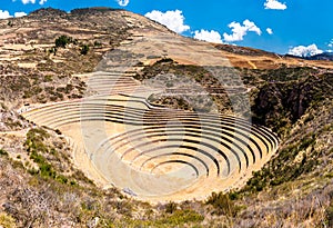 Agricultural terraces at Moray in Peru