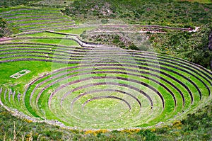 Agricultural terraces in Moray, Peru