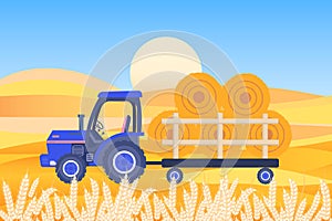 Agricultural tractor with a trailer and hay against the background of wheat ears and fields. Illustration