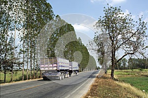 Agricultural trailer truck on the rural roads.