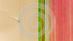 Agricultural transport. Tractor in the field. Working the land. Aerial view of the field. Landscape from a drone.