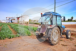 Agricultural vehicle next to a plantation