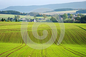 Agricultural view