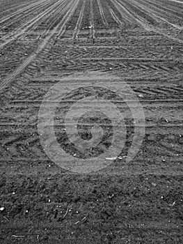 Agricultural view. Artistic look in black and white.