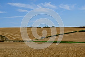 Agricultural view in the South Downs. Landscape shot showing crops being harvested