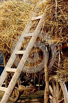 Agricultural wagon with stacked straw