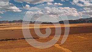 Agricultural wheat fields aerial view, beautiful clouds and mountains in the background. Harvest concept.