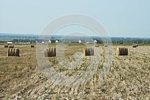 Agricultural work for haymaking