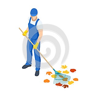 Agricultural work. Isometric man cleaning fallen autumn leaves, A gardener collects and cleans fallen leaves in the fall