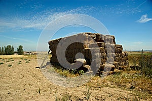 Agricultural work. photo