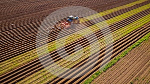 Agricultural work on a tractor farmer sows grain. Hungry birds a