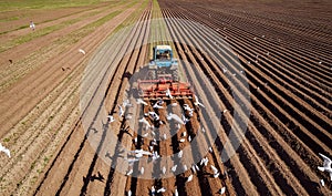 Agricultural work on a tractor farmer sows grain. Hungry birds a photo
