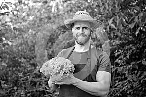 agricultural worker in straw hat with lettuce leaves