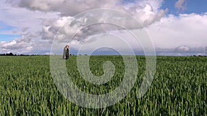 Agriculturalist agronomist woman walk between wheat plants field