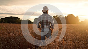 Agriculturalist man standing in yellow wheat field on sunset and looking at the harvest