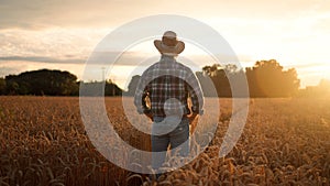 Agriculturalist man standing in yellow wheat field on sunset and looking at the harvest