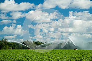 Irrigating crops in field photo