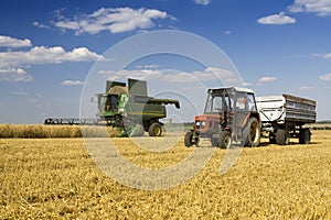 Agriculture photo