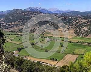 Agriculture. Agricultural land Achaea, Greece, Peloponnese