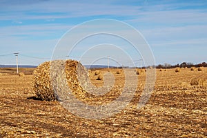 Agriculture, agronomy and farming background. Harvest concept. photo