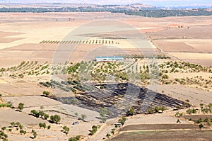 Agriculture in Andalusia, the south of Spain
