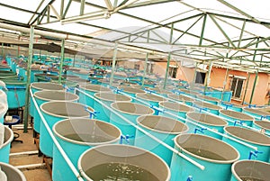 Agriculture aquaculture farm
