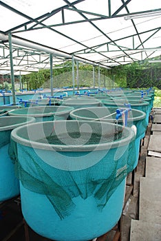 Agriculture aquaculture farm photo