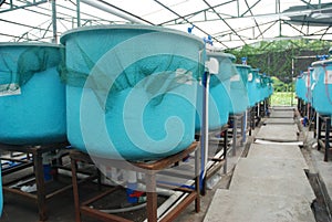 Agriculture aquaculture farm