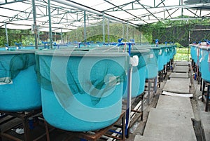 Agriculture aquaculture farm photo