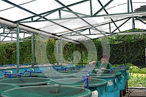 Agriculture aquaculture farm