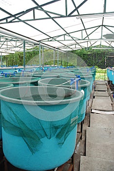 Agriculture aquaculture farm